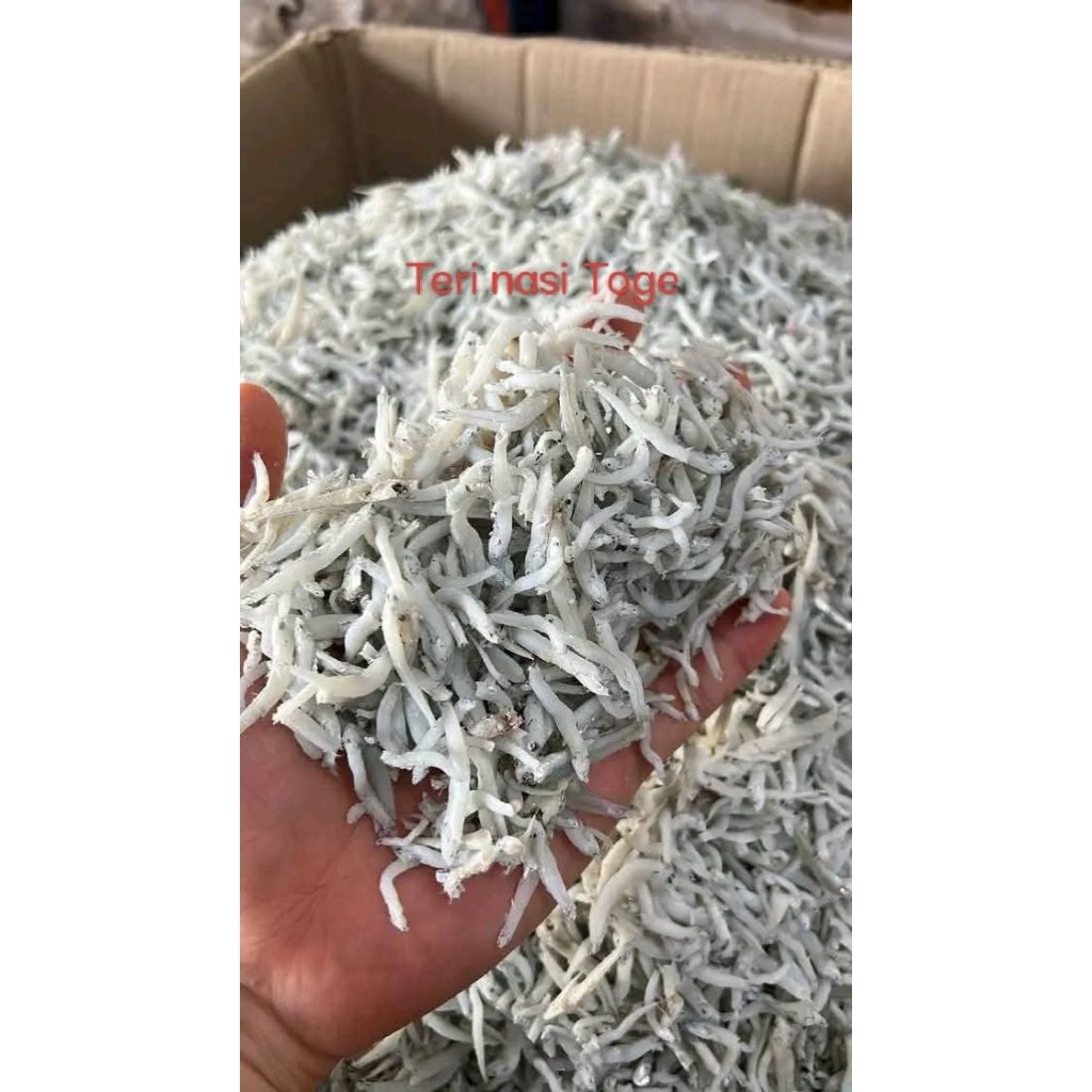 Teri nasi toge/Teri nasi Medan/Teri nasi/Teri nasi 1kg/Teri nasi 1000gr/Teri nasi 500gr