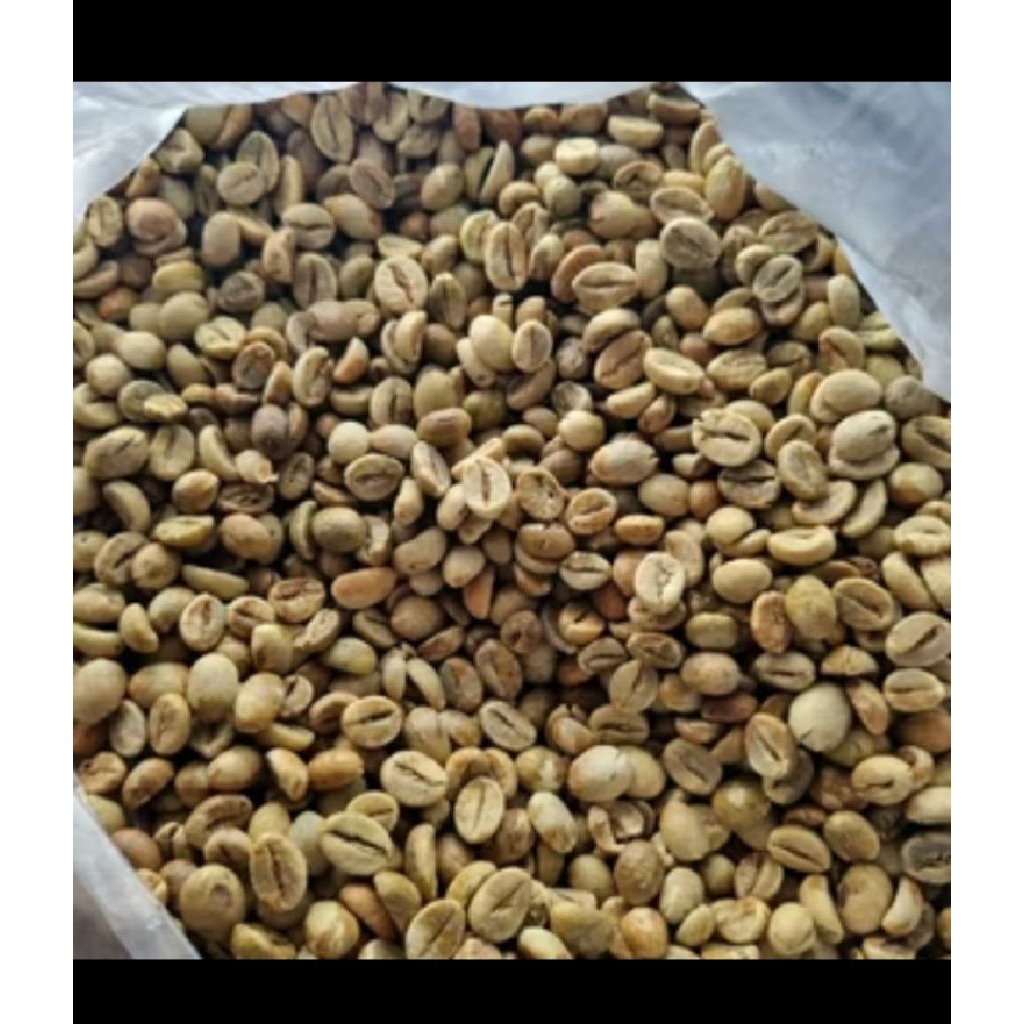 

biji kopi mentah murah