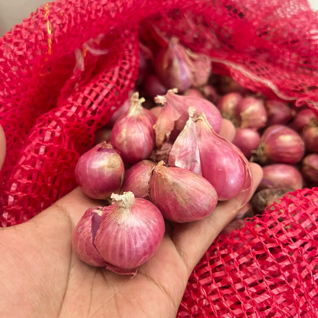 

BAWANG MERAH KERING SEKALI BESAR 1KG / BAWANG MERAH KERING SEKALI 1KG