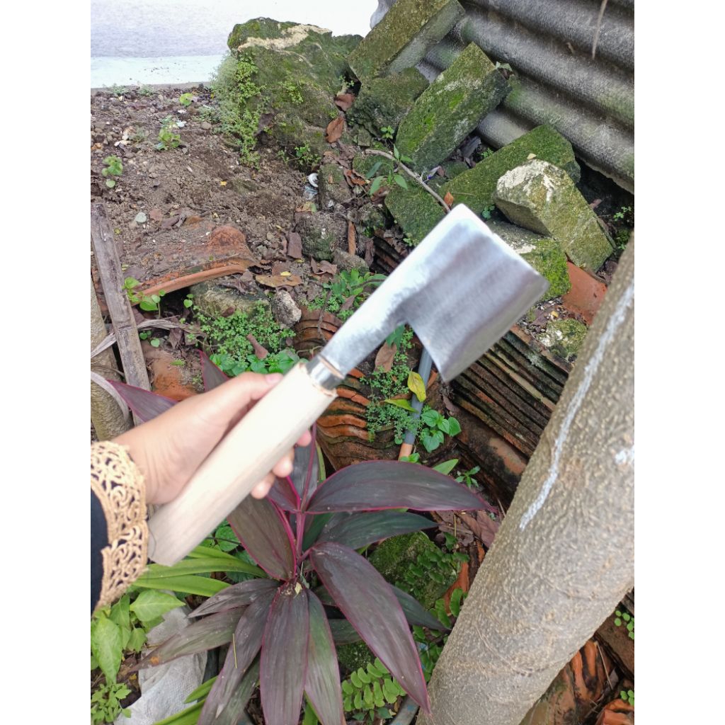 kapak pengupas kelapa