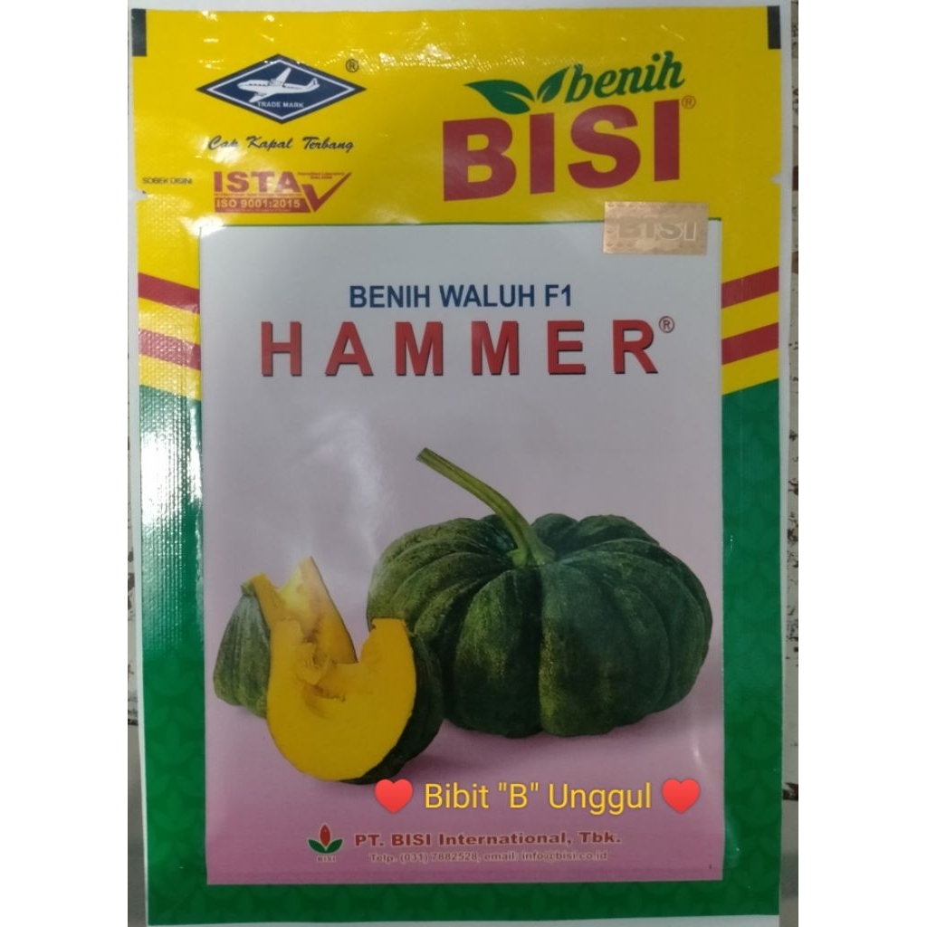 Benih labu waluh F1 Hammer (10 gram)