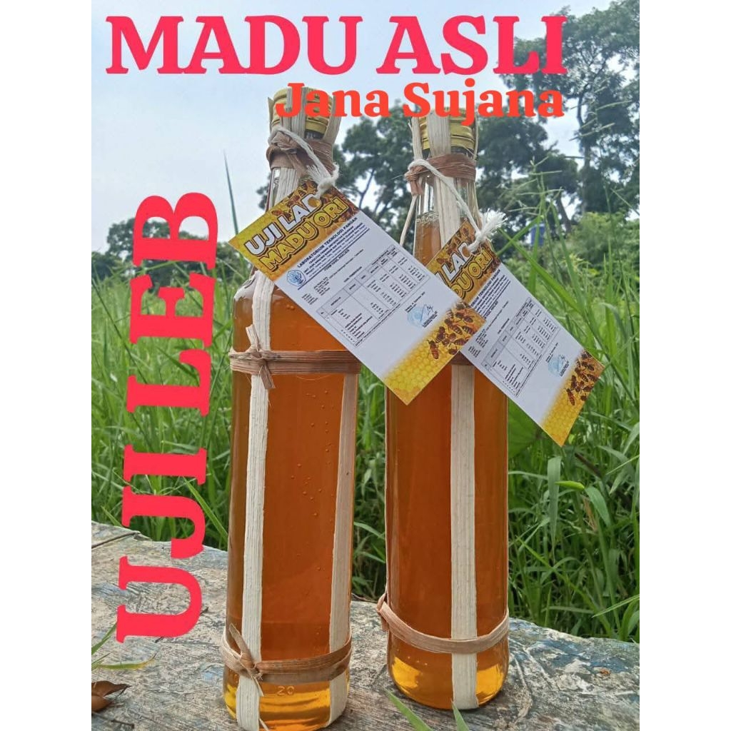 

Madu Asli Murni Alami 100 % Garansi Uji Laboratorium.