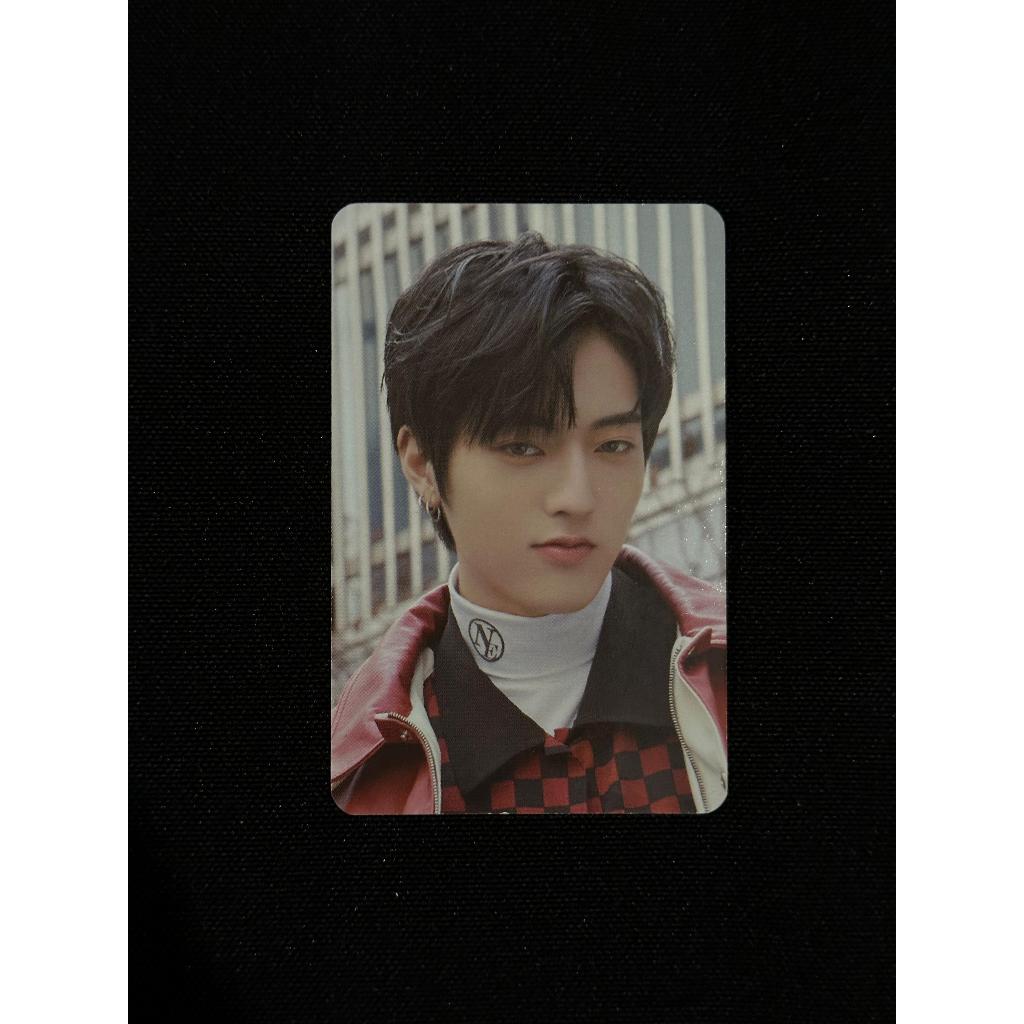 PC TREASURE HARUTO OFFICIAL