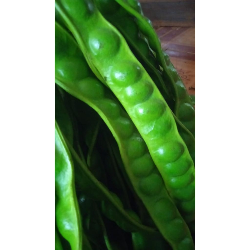 

Pete super isi 10 lonjor