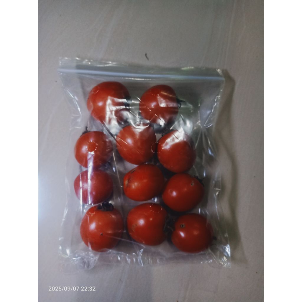 

JUAL TOMAT FRESH DARI KEBUN~Berat ;1 Kg,500 gr,200 gr~Sayuran~Kelelo Petani Group~Kelola Boga Mart