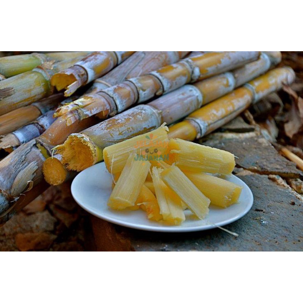 

Tebu Manis Segar Berat 1 Kg