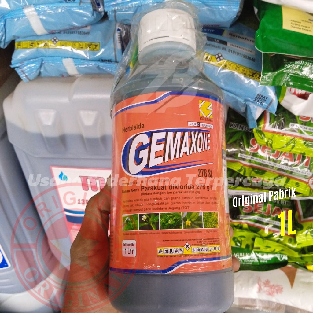 GEMAXONE 276 SL HERBISIDA KONTAK CEPAT HANGUS