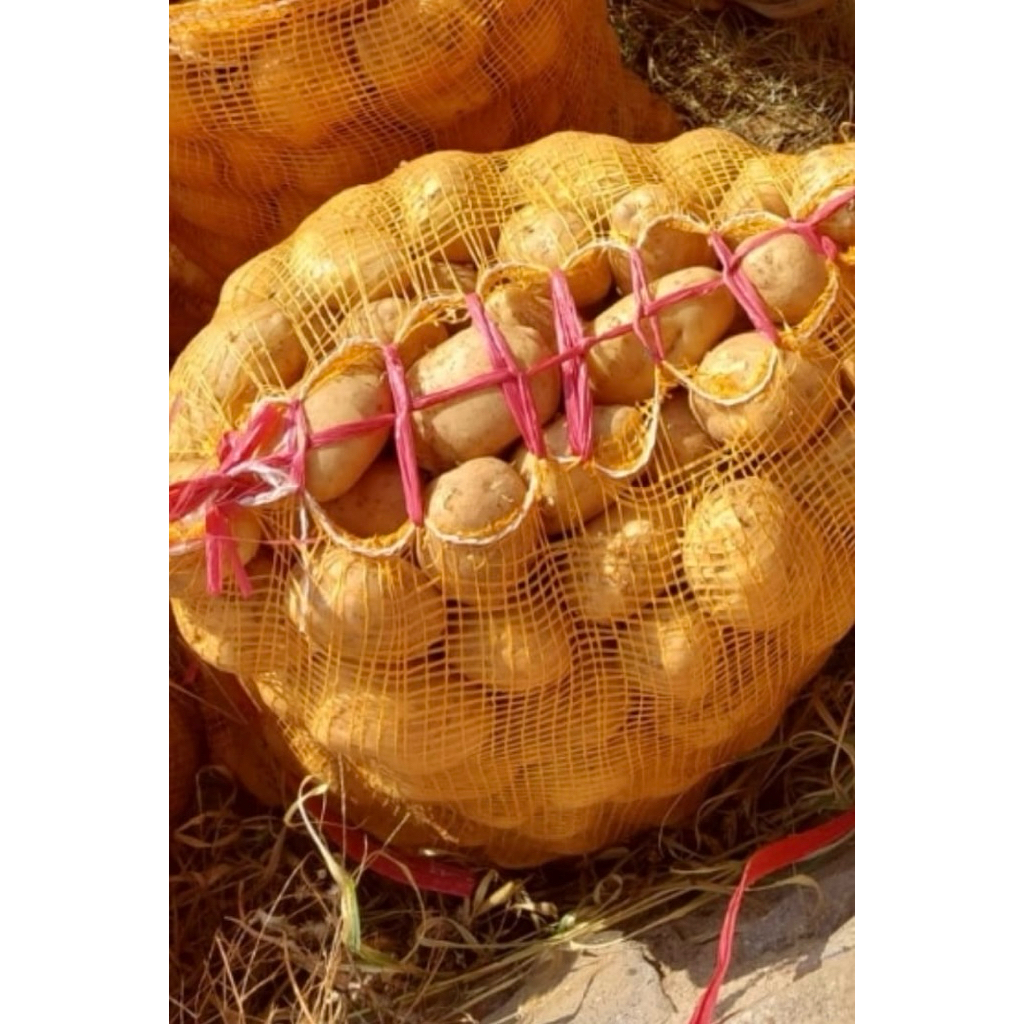 

Kentang lokal fresh sayuran 1kg