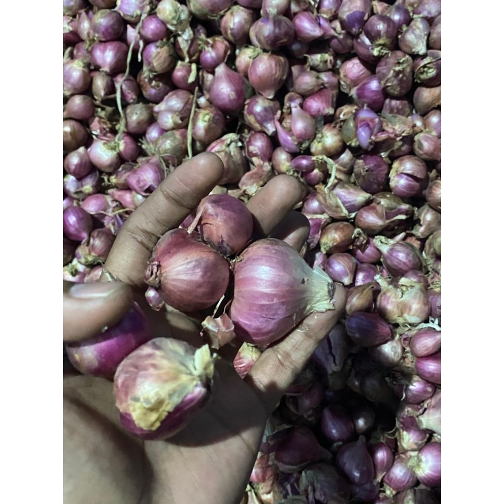 

Bawang Merah Bima Super 250gr