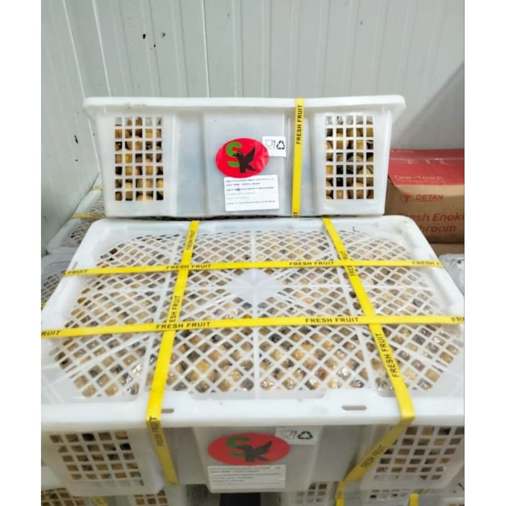 

Buah Kelengkeng Super Manis / Buah Kelengkeng Longan Manis 11kg / Keranjang