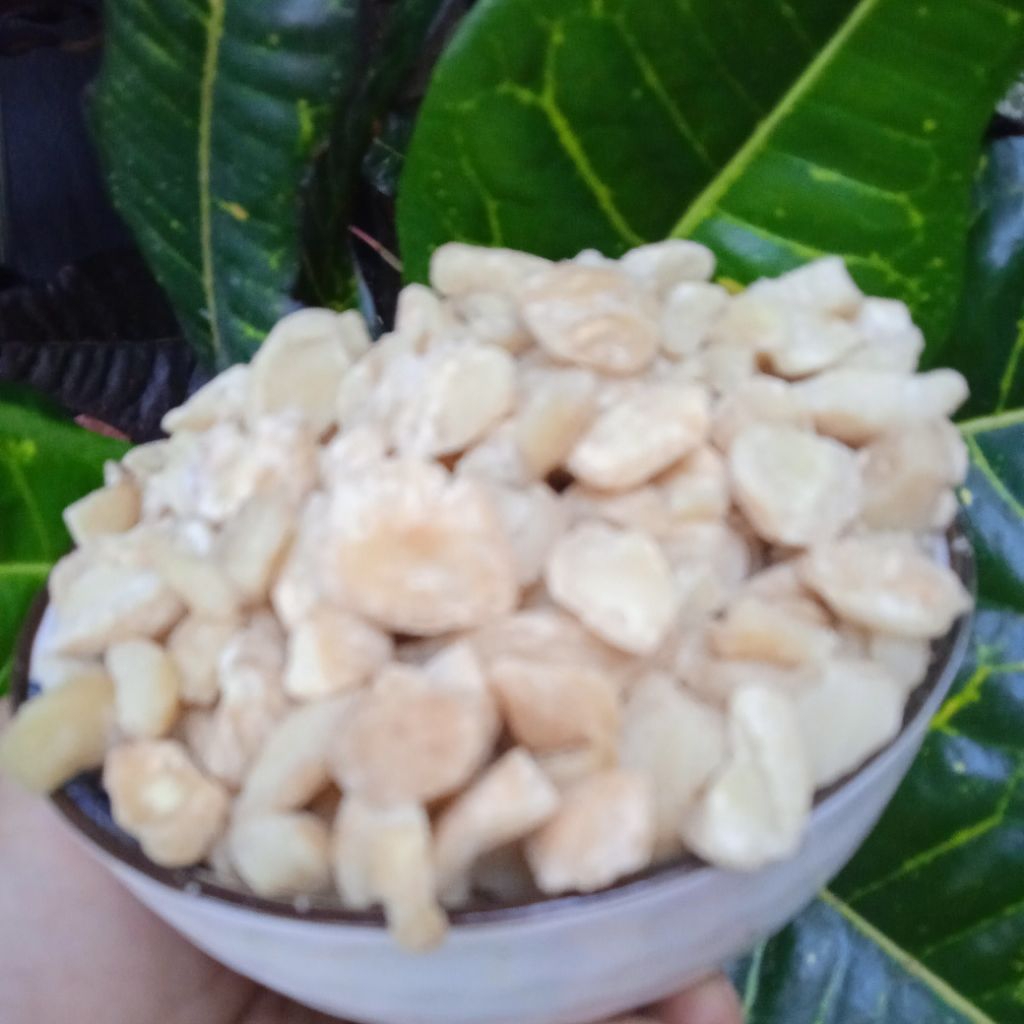 

Kemiri Menir Koral Super Bersih kemasan 1kg bersih