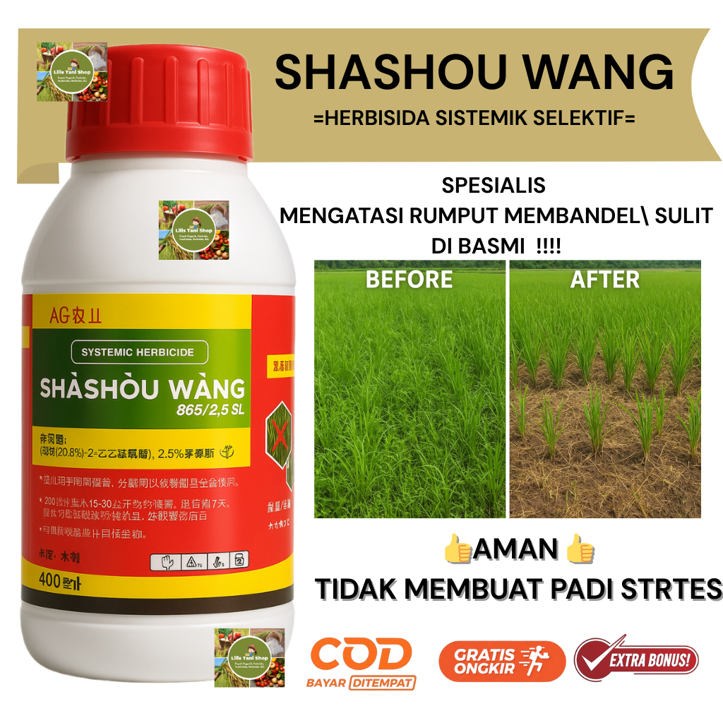 Shashouwang Merah Herbisida Sistemik Selektif Khusus Rumput Jawan | Lulangan | Grinting | Jongkong |