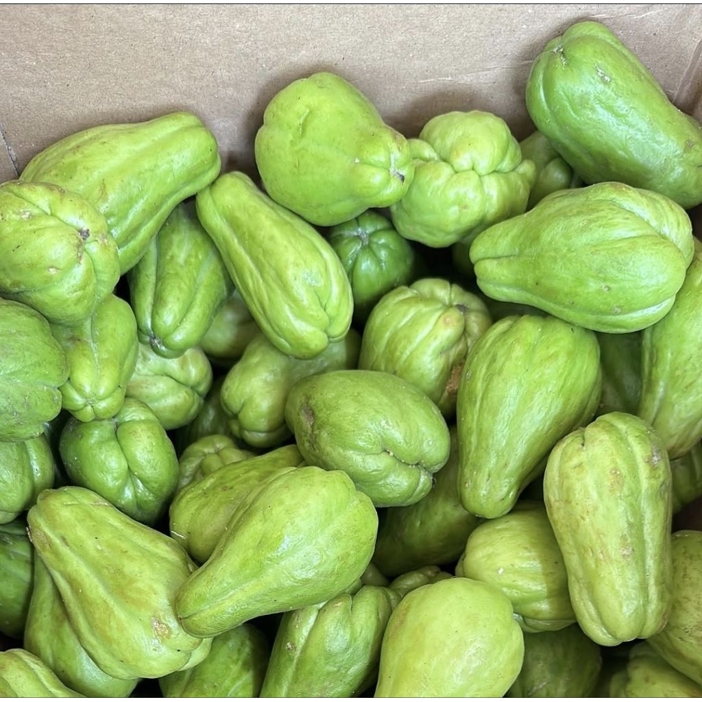 LABU SIAM BABY/LABU SIAM ACAR/LABU SIAM LALAP FRESH