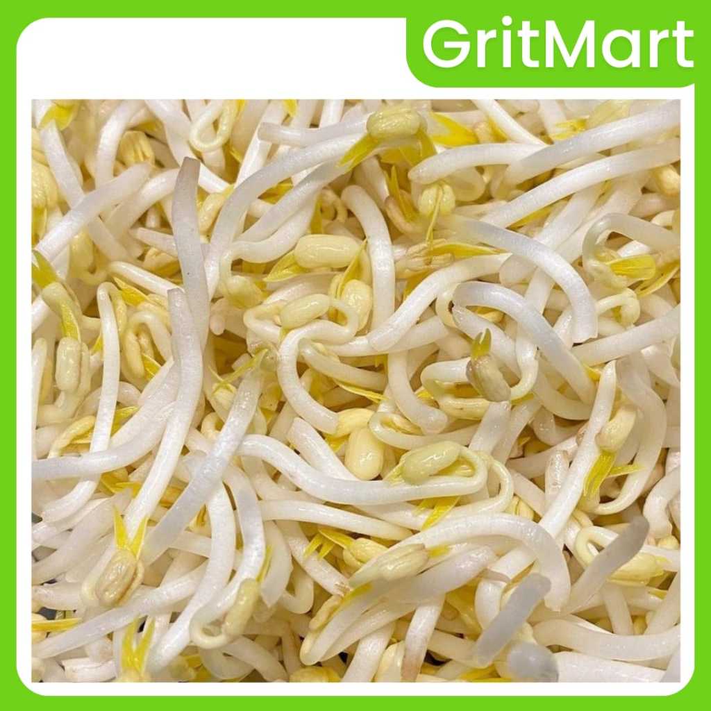 

PAKET GROSIR I Toge 2 kg I Fresh