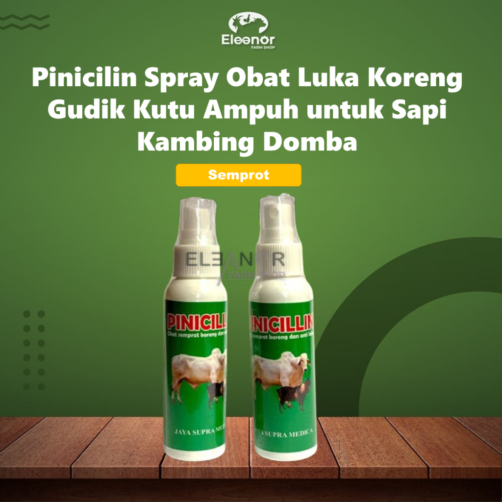 Pinicilin Pinisilin Spray Obat Luka Koreng Gudik Kutu Ampuh untuk Sapi Kambing Domba