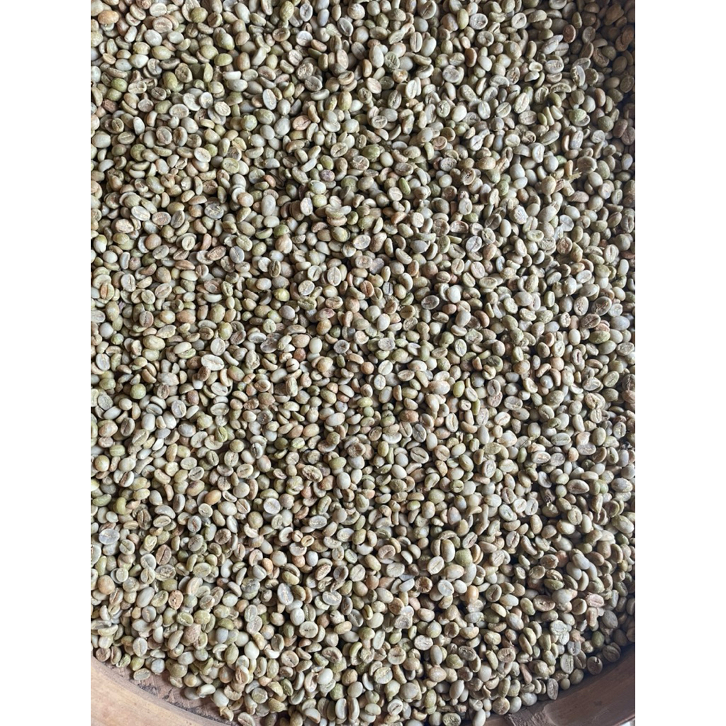 BIJI KOPI KERING ROBUSTA / Greenbean Robusta 500Gram
