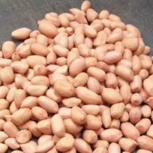 

kacang tanah 500g