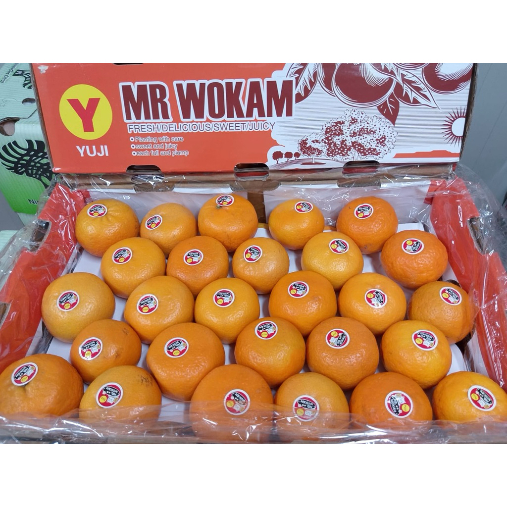 

Jeruk wokam Yuji Super Manis / Jeruk MR Wokam Yuji Manis Fresh 8,5kg / box