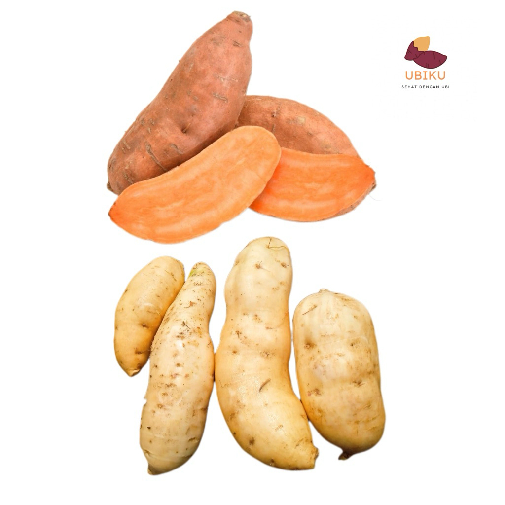 

ubi madu cilembu dan ubi jalar oranye mix campur