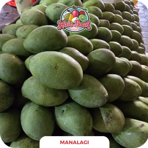 

BUAH Mangga Manalagi 1kg Segar