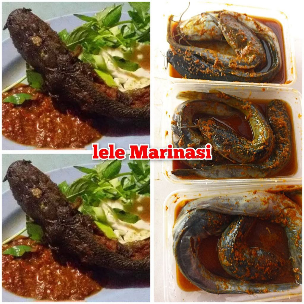 

Lele Marinasi Box