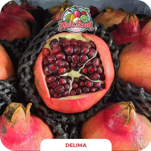 

BUAH DELIMA MANIS 1KG