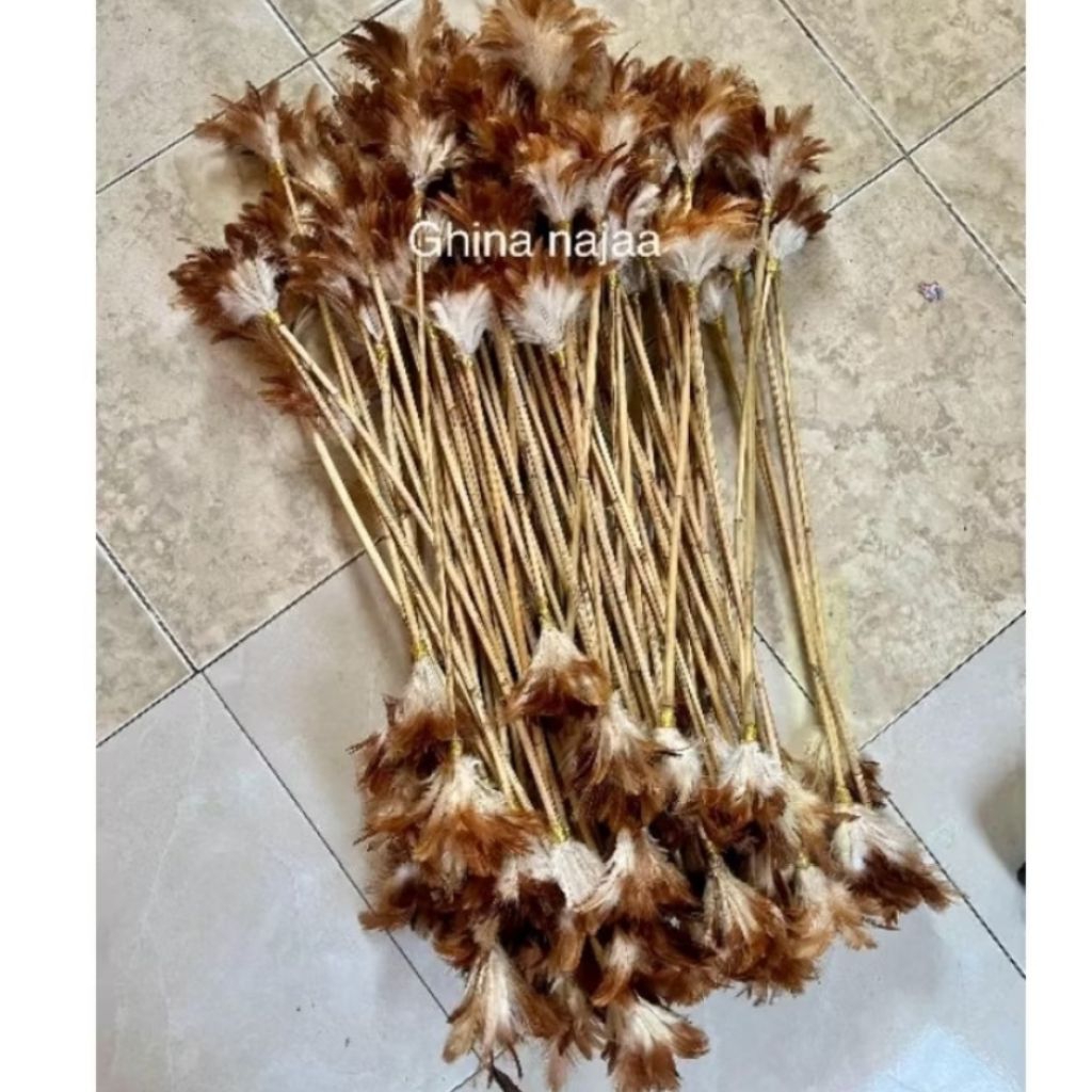Tongkat bulu tari papua/dayak.