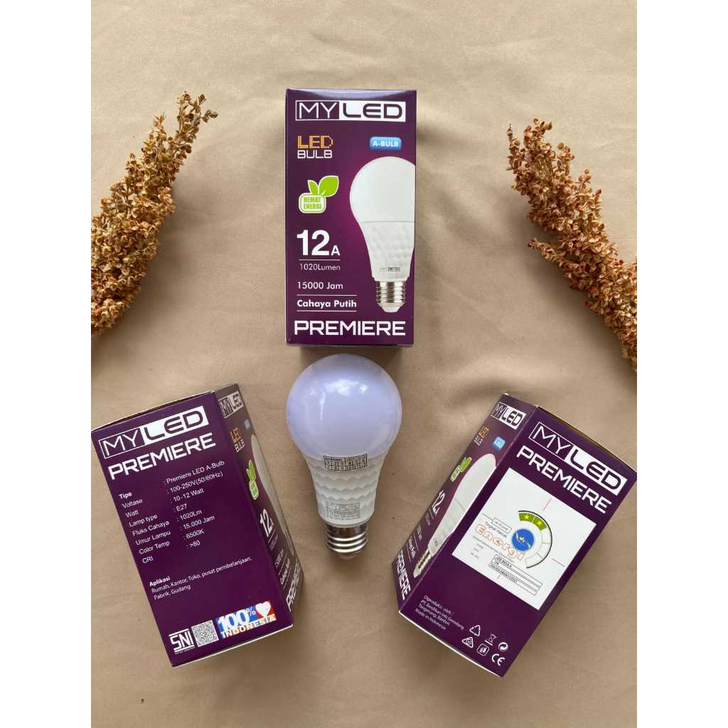 my led premier 12 WATT