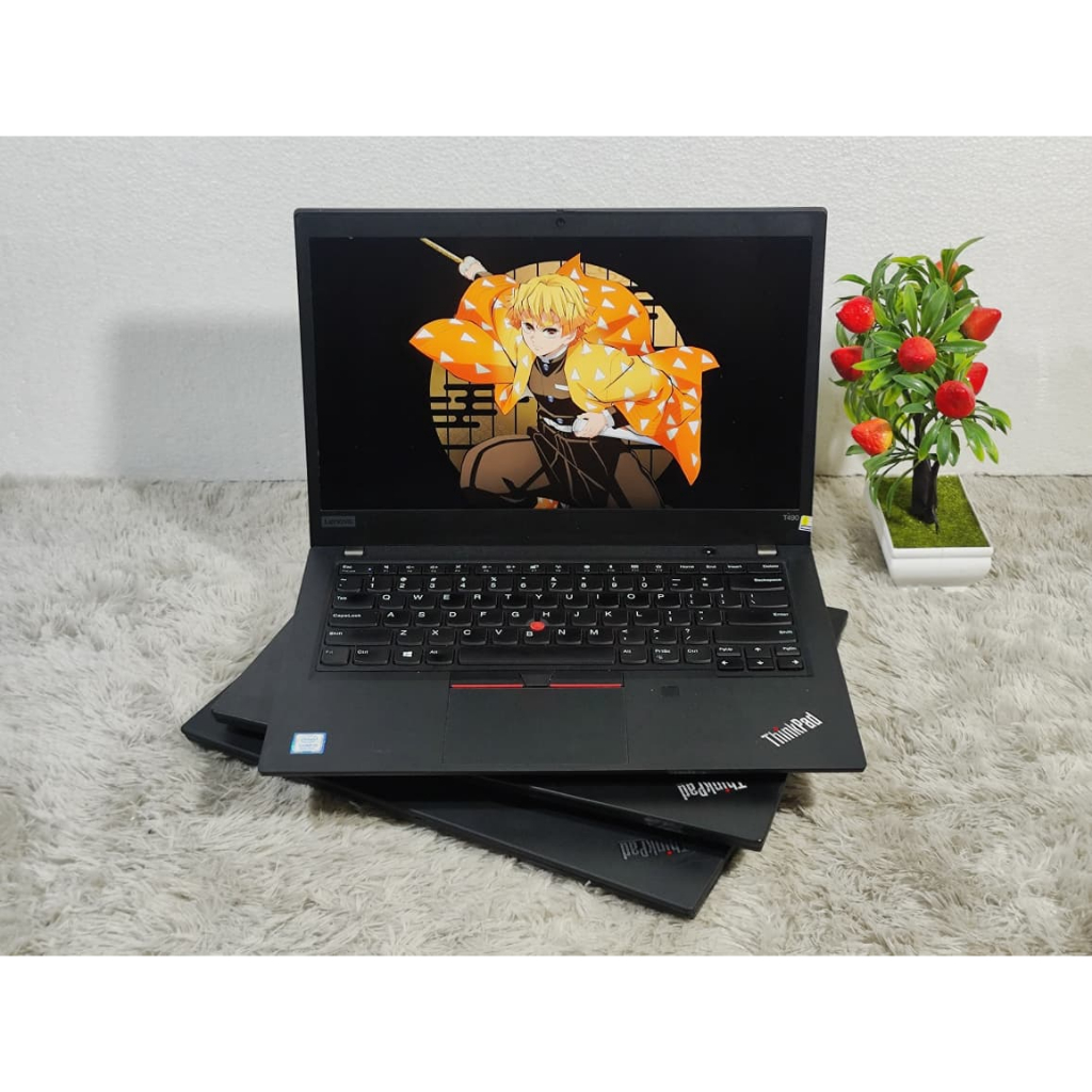 Lenovo Thinkpad T490
