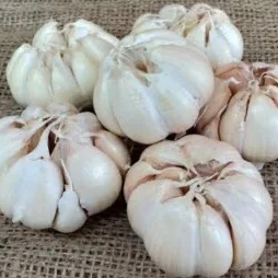 

bawang putih bulat 500g