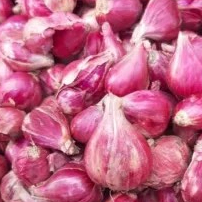 

bawang merah brebes 250g