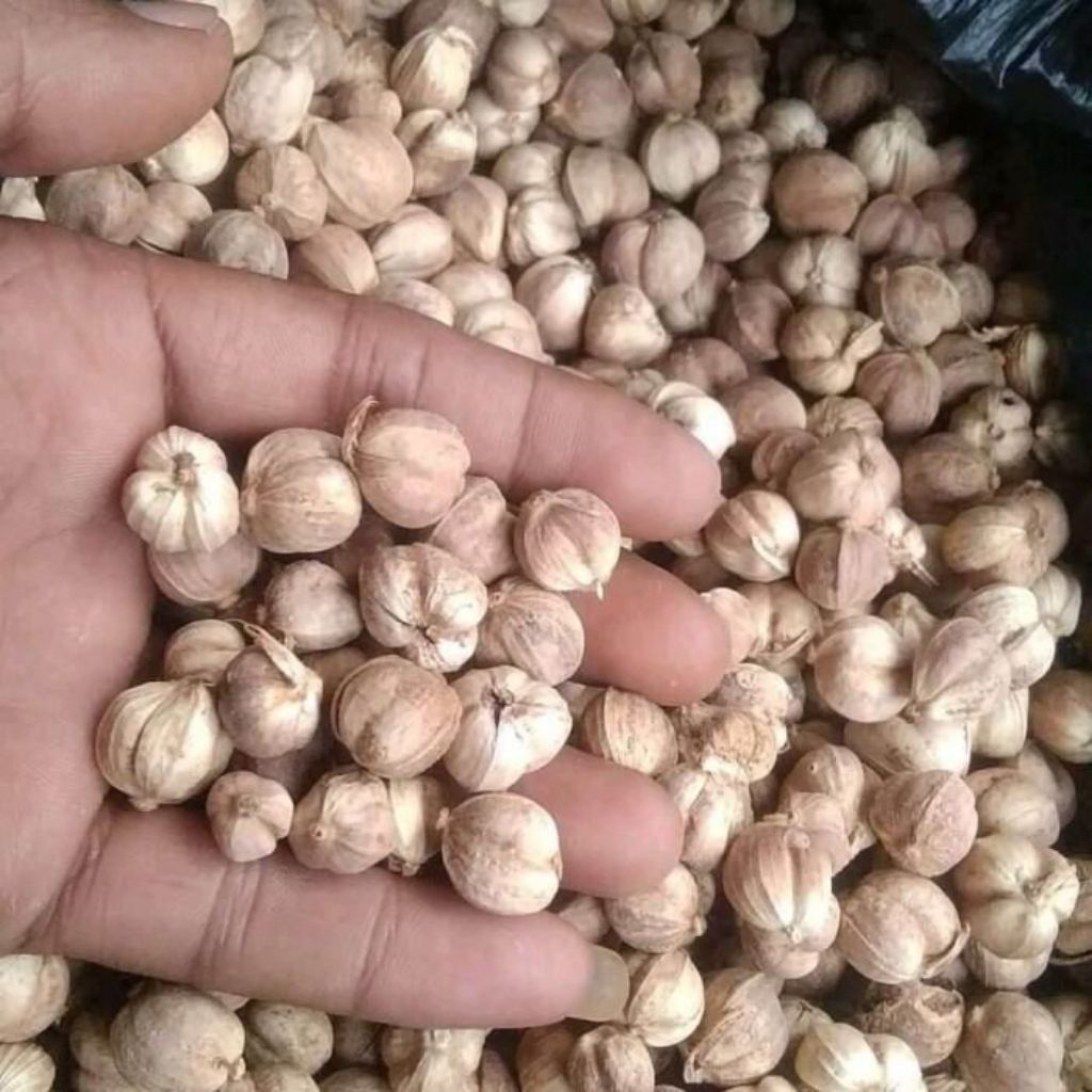 

kapulaga kering 100g berkualitas