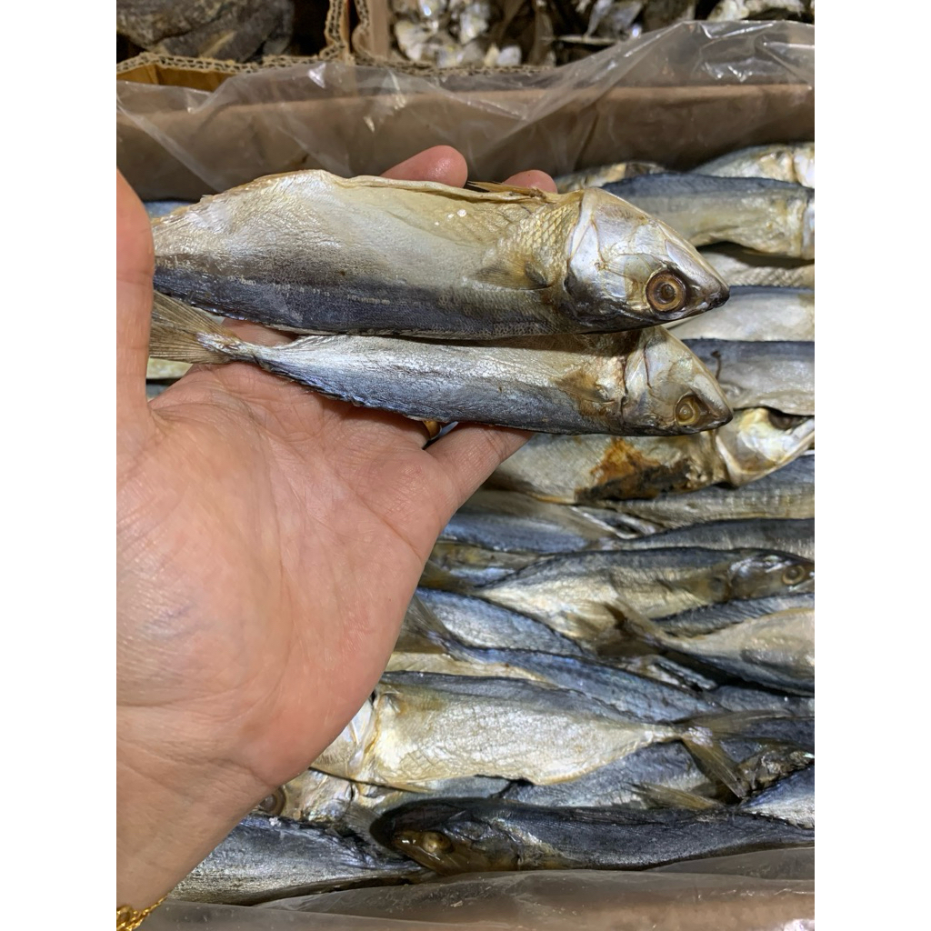 

Ikan Asin Peda/Pedo Murah