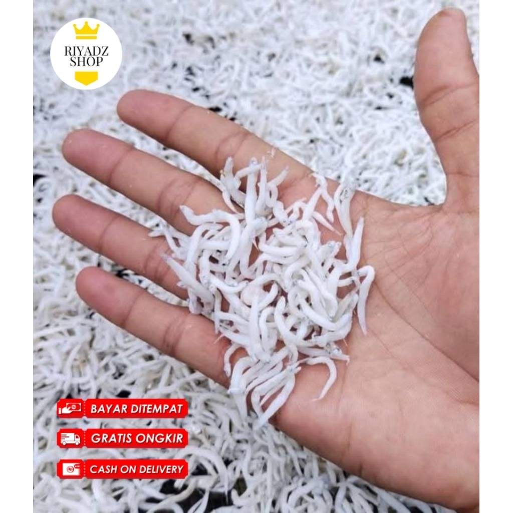 

Ikan asin teri nasi enak gurih dan murah