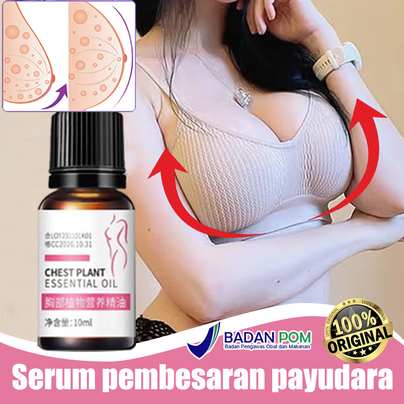 Pembesar payudara bpom obat pembesar payudara serum pembesar payudara 1 botol