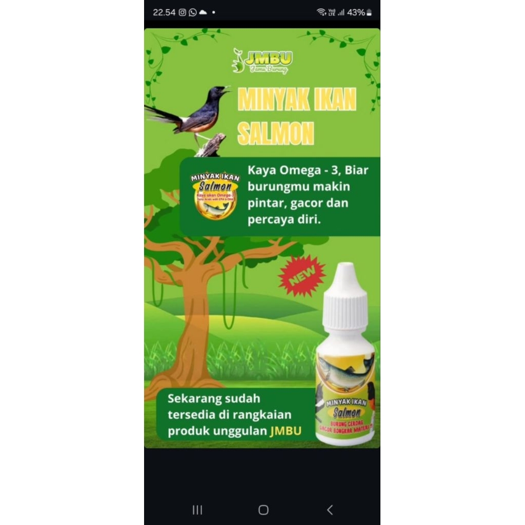 MINYAK IKAN SALMON UNTUK BURUNG