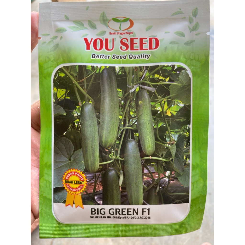 Benih timun BIG GREEN You seed 20gram