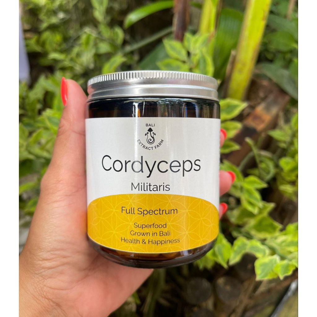 Cordyceps Militaris Full Spectrum