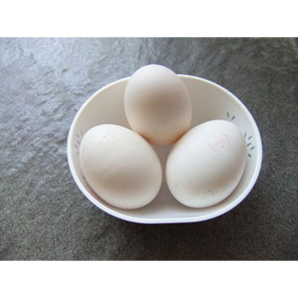 

telur soang /angsa fress100%