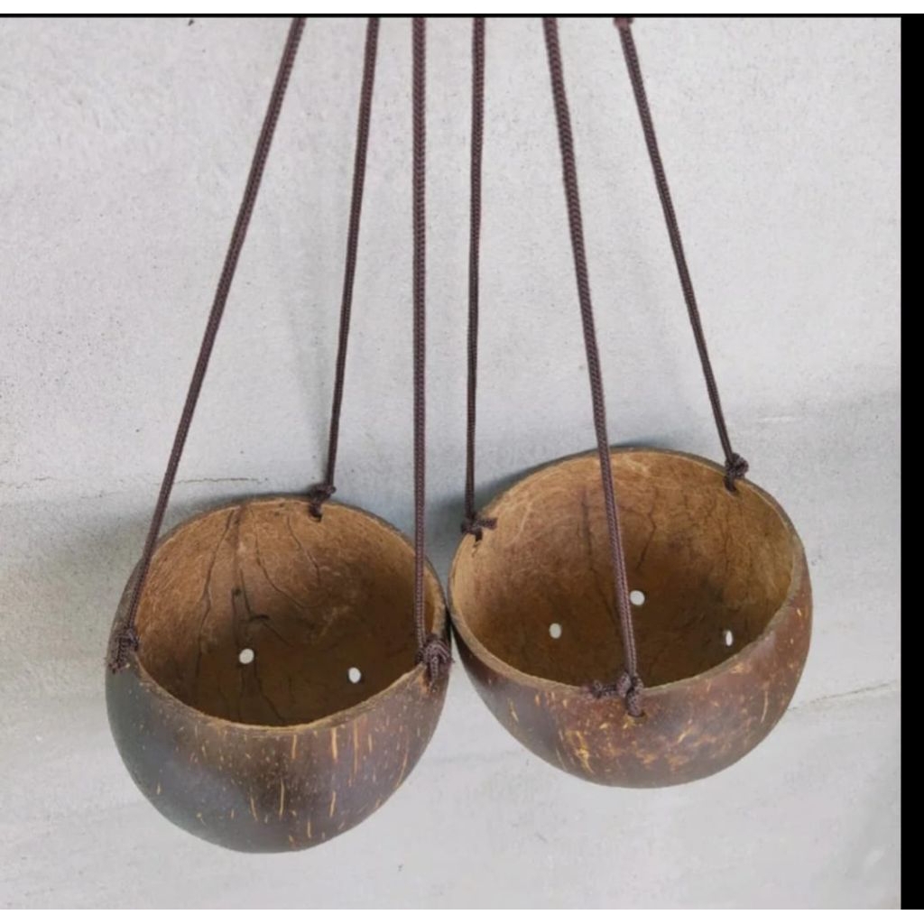 Pot gantung dari batok alami