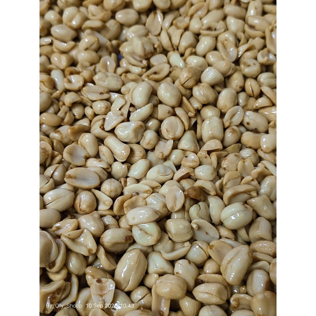 

OS, KACANG BAWANG 500GRM