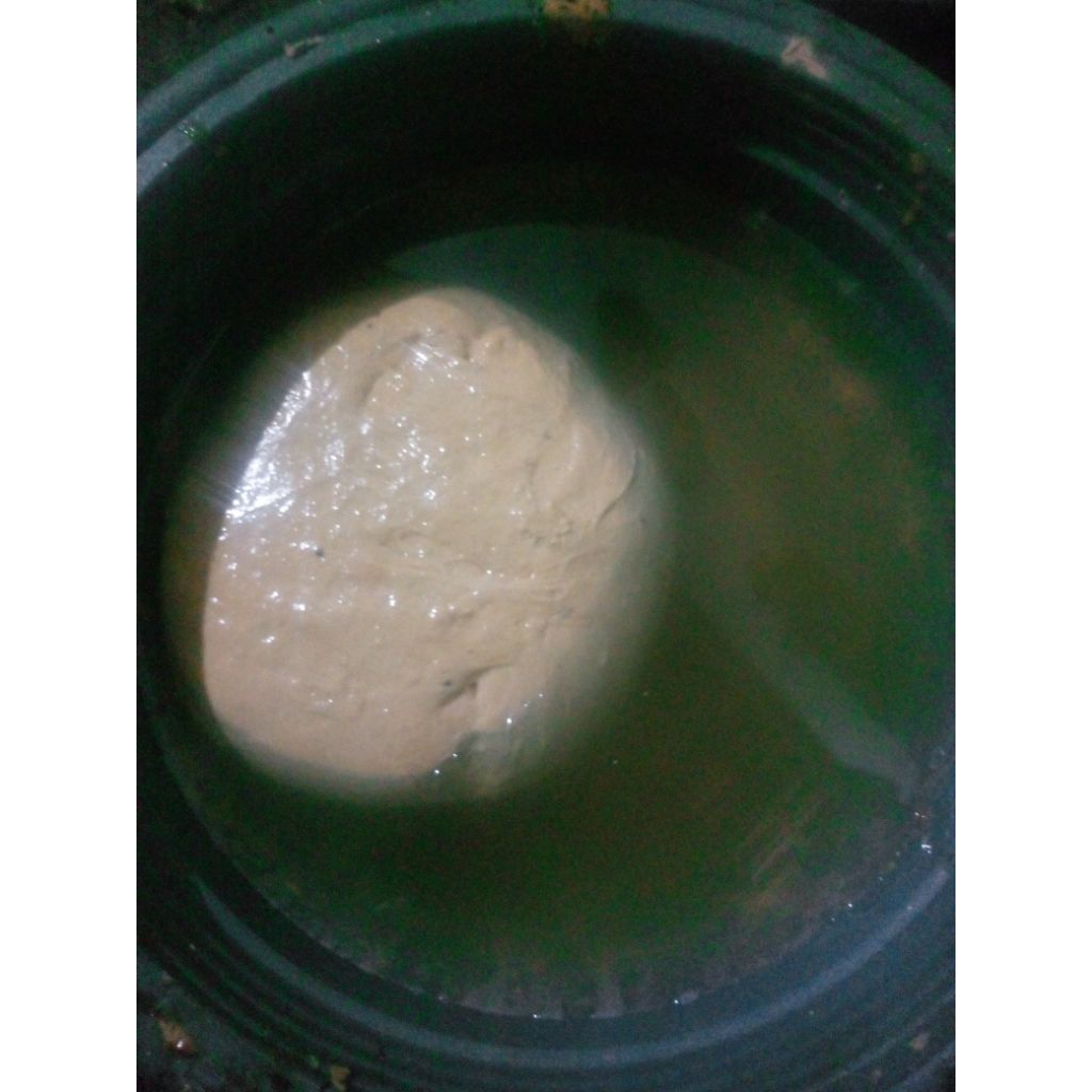 pulut burung 500gram 1/2kg