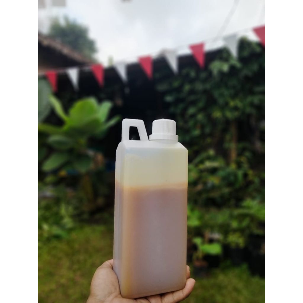 Madu kaliandra murni 1 liter