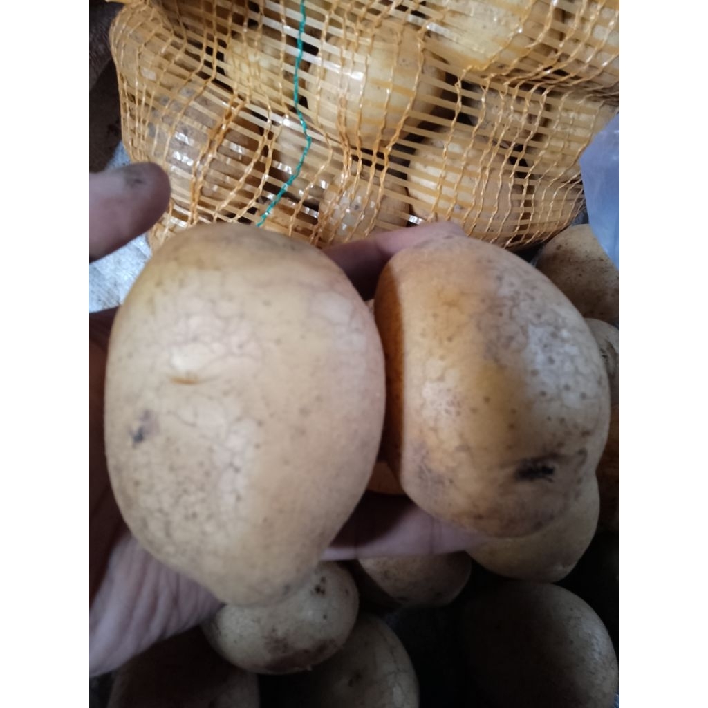 

kentang Granola UK-PL 1kg fresh