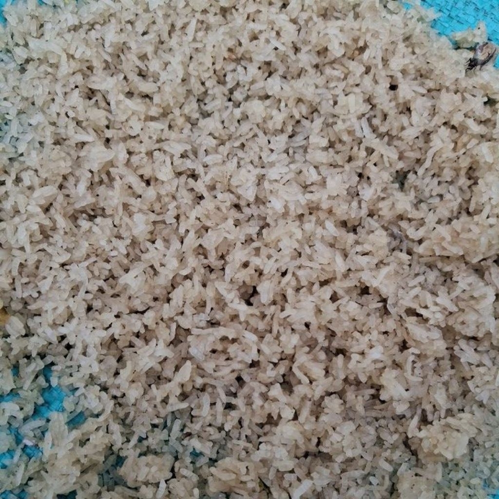 Karak / Nasi Aking 1kg