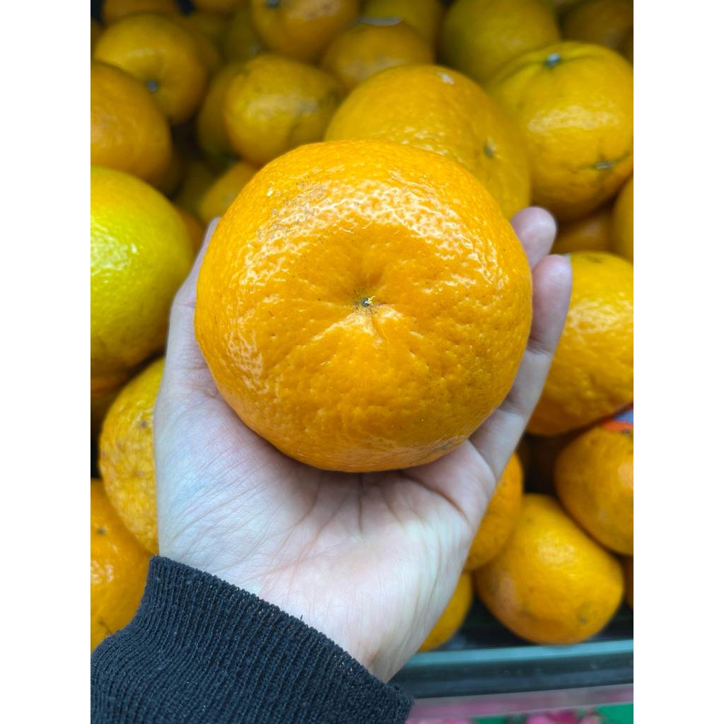 

JERUK MANDARIN WOGAN