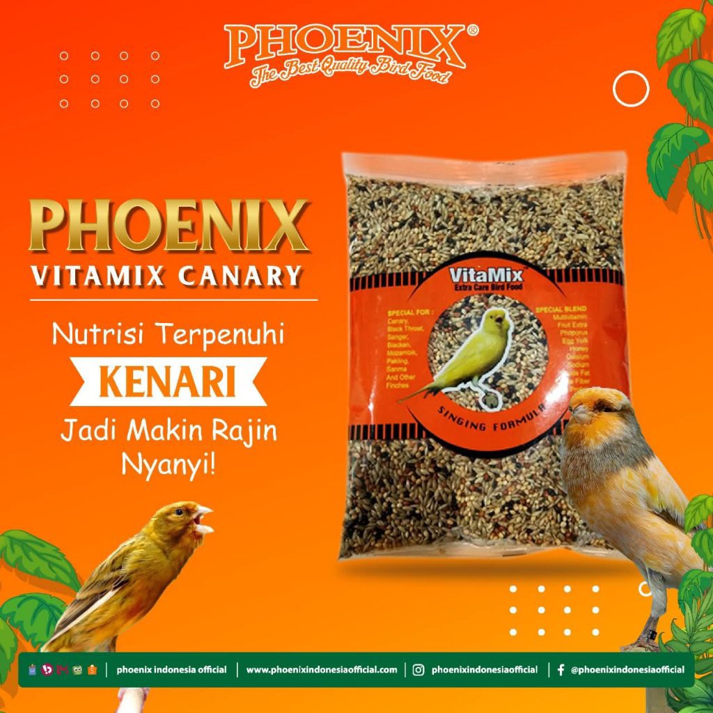 VITAMIX CANARY // VITAMIX KENARI