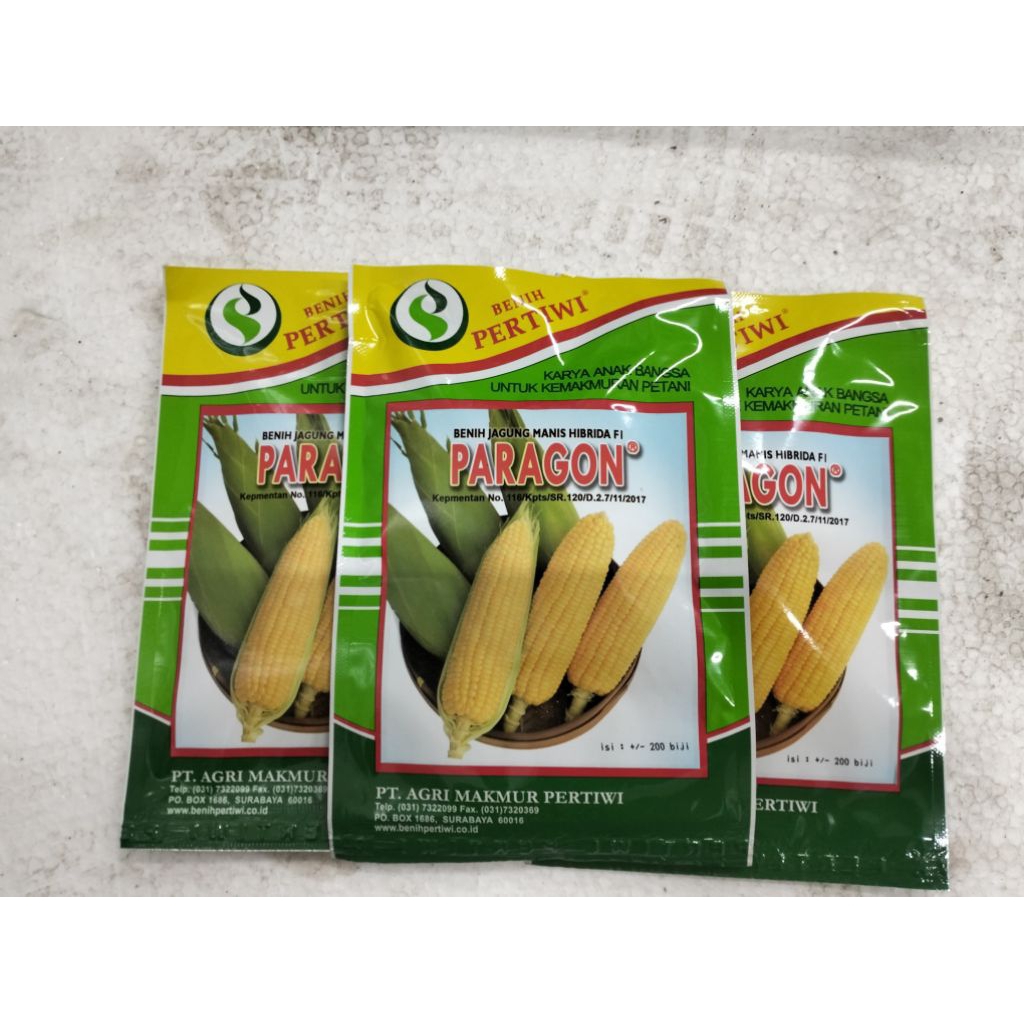 

jagung paragon hibrida F1,30gram