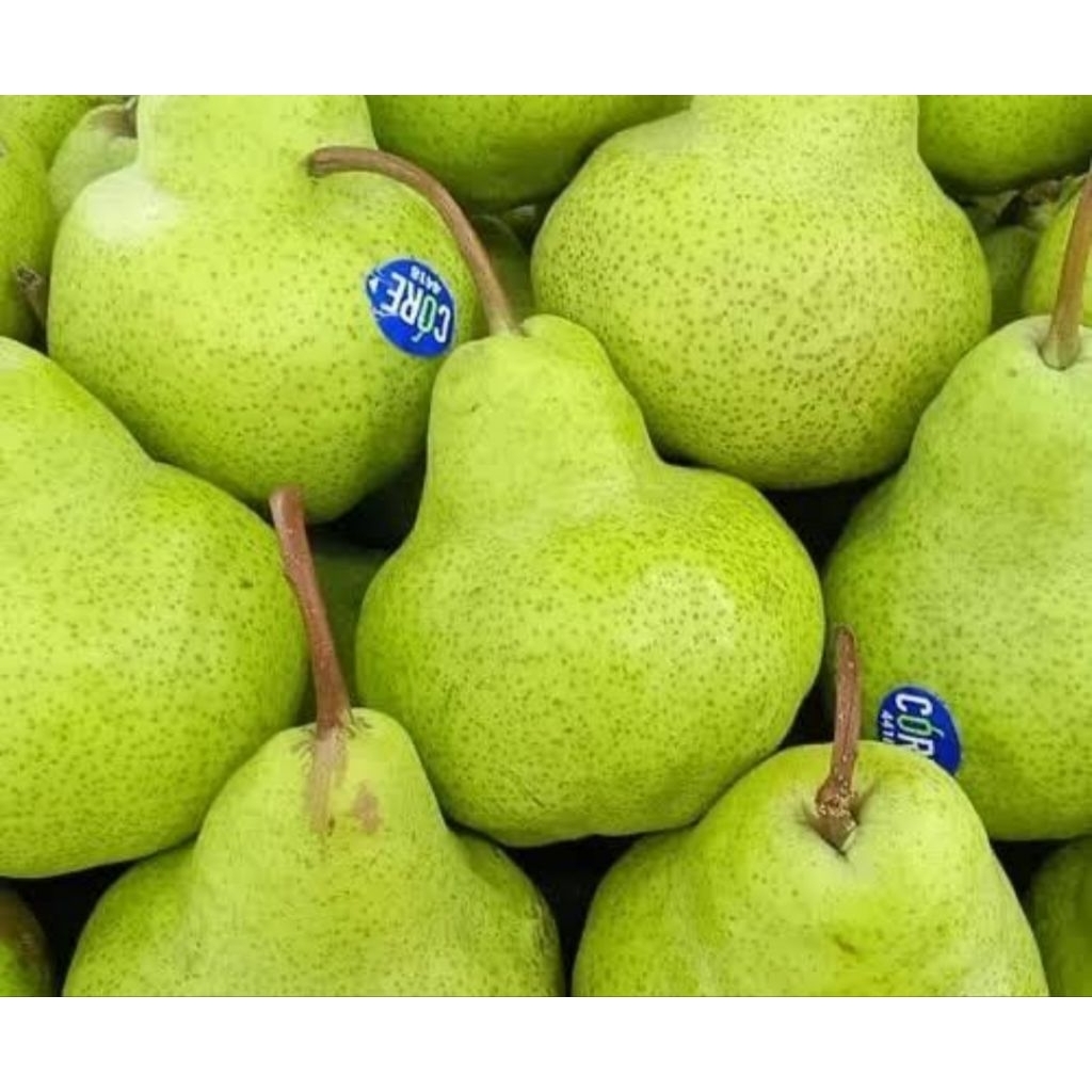 

Buah pear hijau packham | Andira Fresh