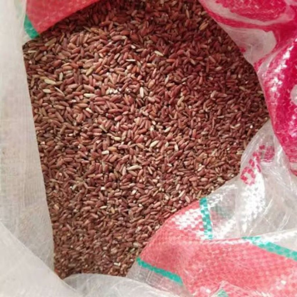 BERAS MERAH KARUNGAN 25 KG - BERAS MERAH 1 KARUNG - BERAS MERAH 25 KG